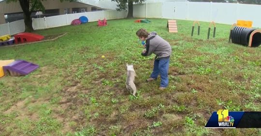 Penn Mar Human Services